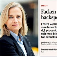 Eva Glückman och skärmbild från di.se